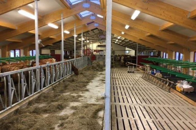 Free Stall Dairy Farm