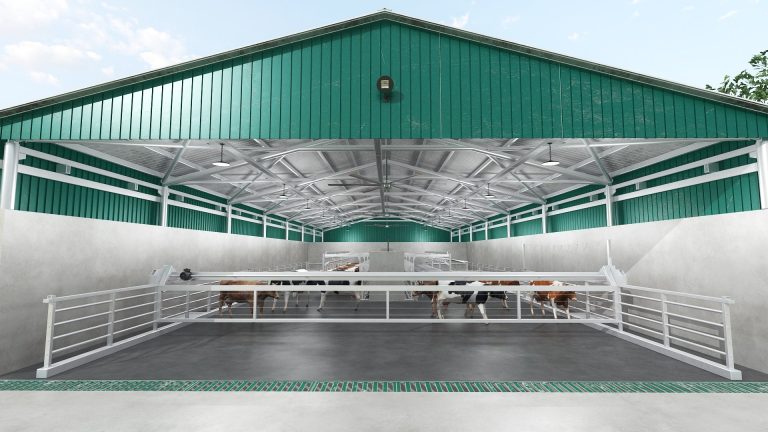 Milking house and parlors